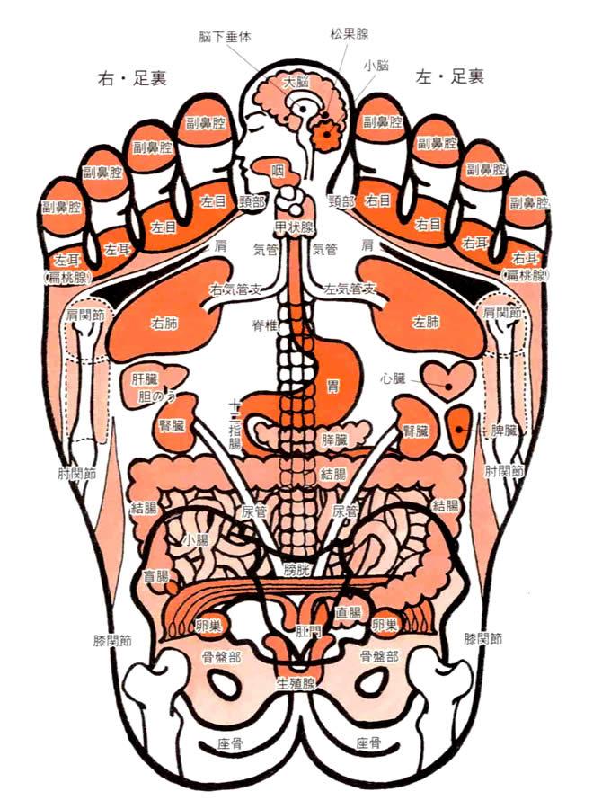 足ツボマッサージは大事な健康管理！？｜高松市十川東町の鍼灸整骨院