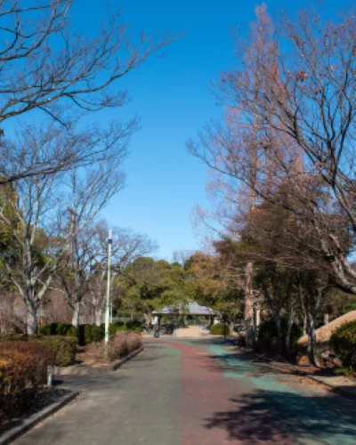 四国中央市の三島運動公園 園内の並木道と散策路の様子
