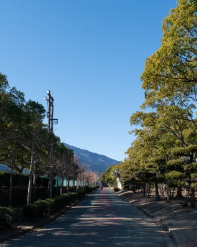 三島運動公園の園内通路 まっすぐに伸びる散策路と周辺の樹木