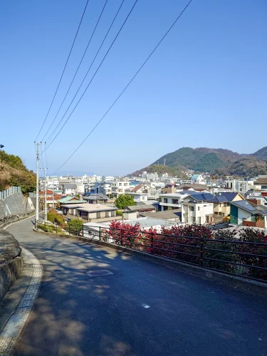 川之江城公園から望む川之江町の市街地風景