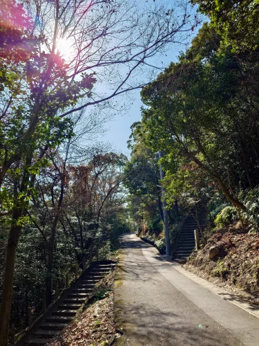 川之江城公園内の遊歩道　自然を感じられる散歩コース