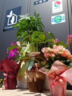 株式会社Land view（ランドビュー）の事務所と開店祝いの花の写真