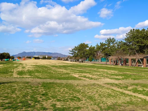 観音寺市一の宮公園 芝生広場と遠景の山