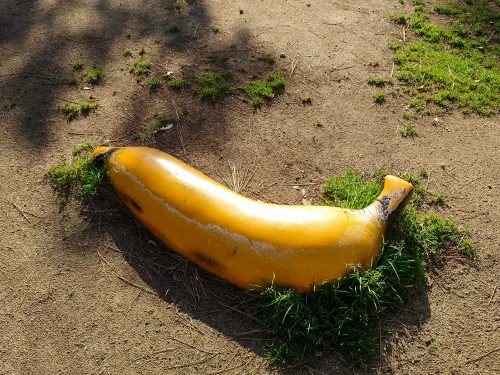 観音寺市一の宮公園 バナナ型遊具