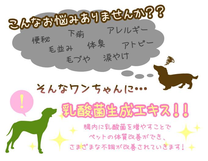 乳酸菌生成エキス コスモスラクト説明画像
